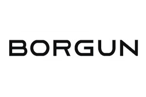 Borgun